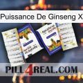 Ginseng Power X 12